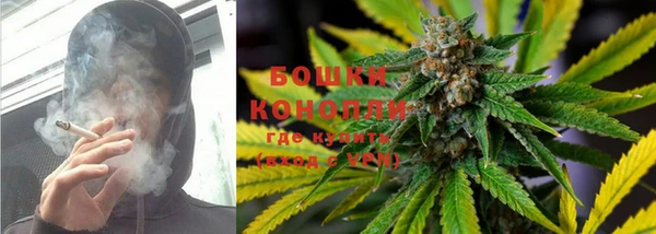 прущие грибы Абинск
