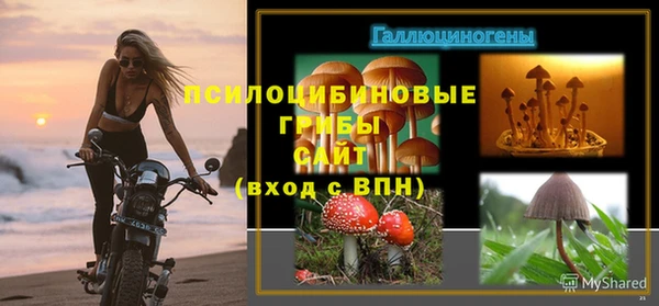 гидра Алексин