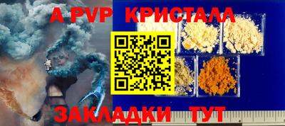 спиды Кузнецк