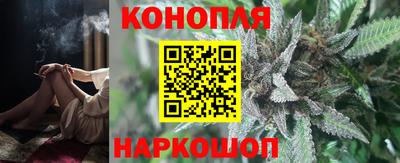 шишки Новокубанск