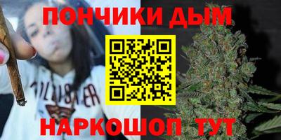 шишки Новокубанск