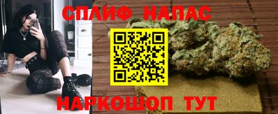 шишки Новокубанск
