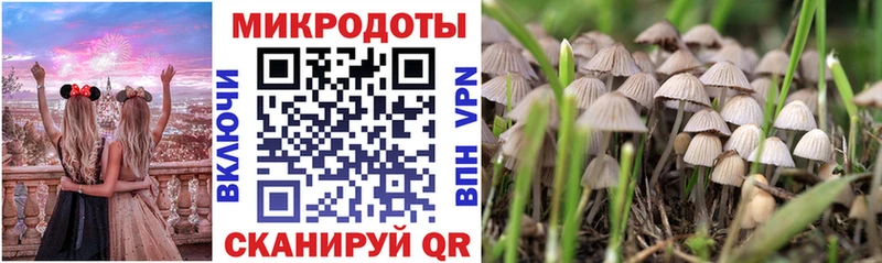 где найти Урюпинск Галлюциногенные грибы прущие грибы